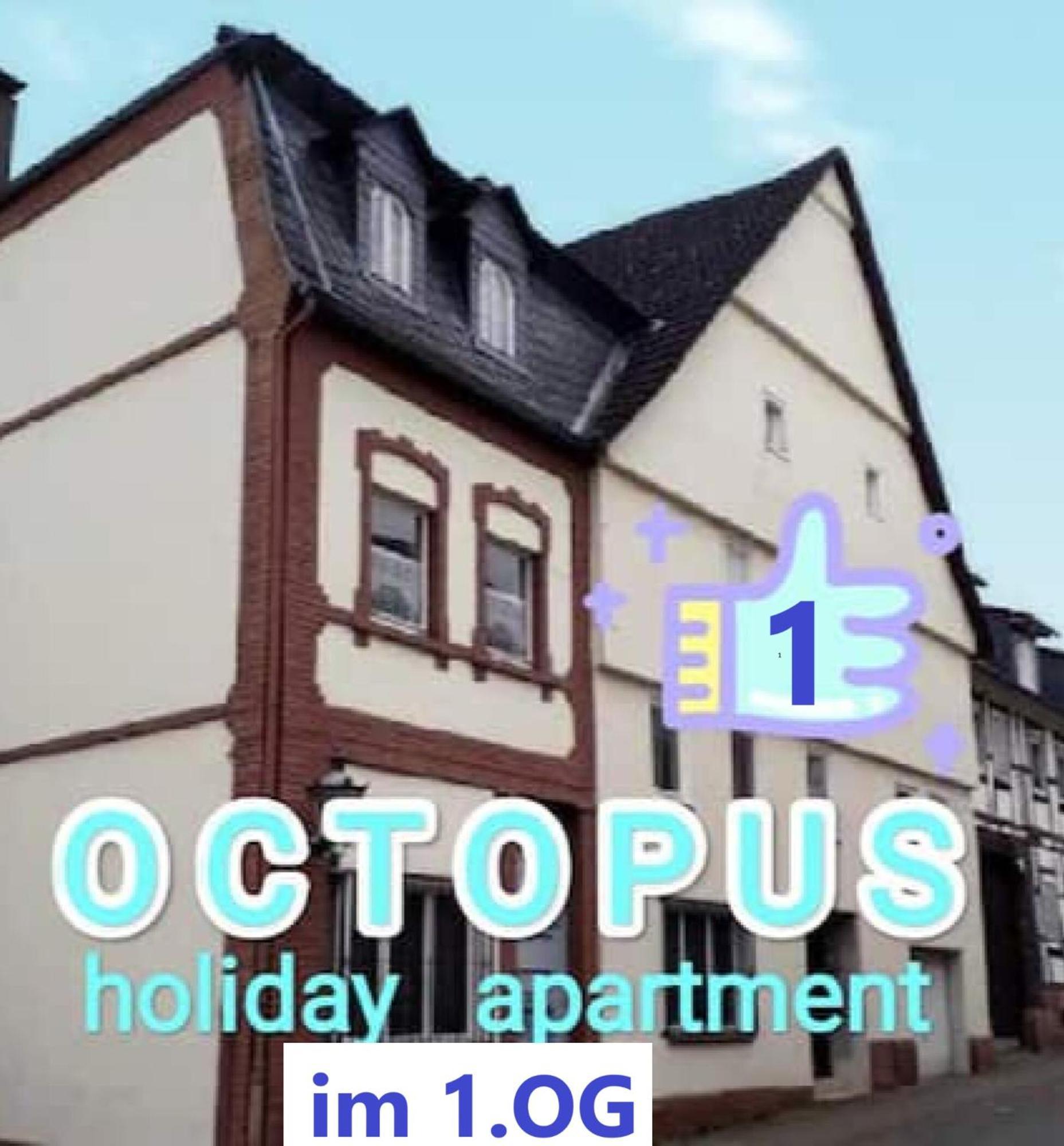 Octopus-1 Monteurwohnung In Zentrum! 2-Zkb In 1Og Hofgeismar Exterior photo